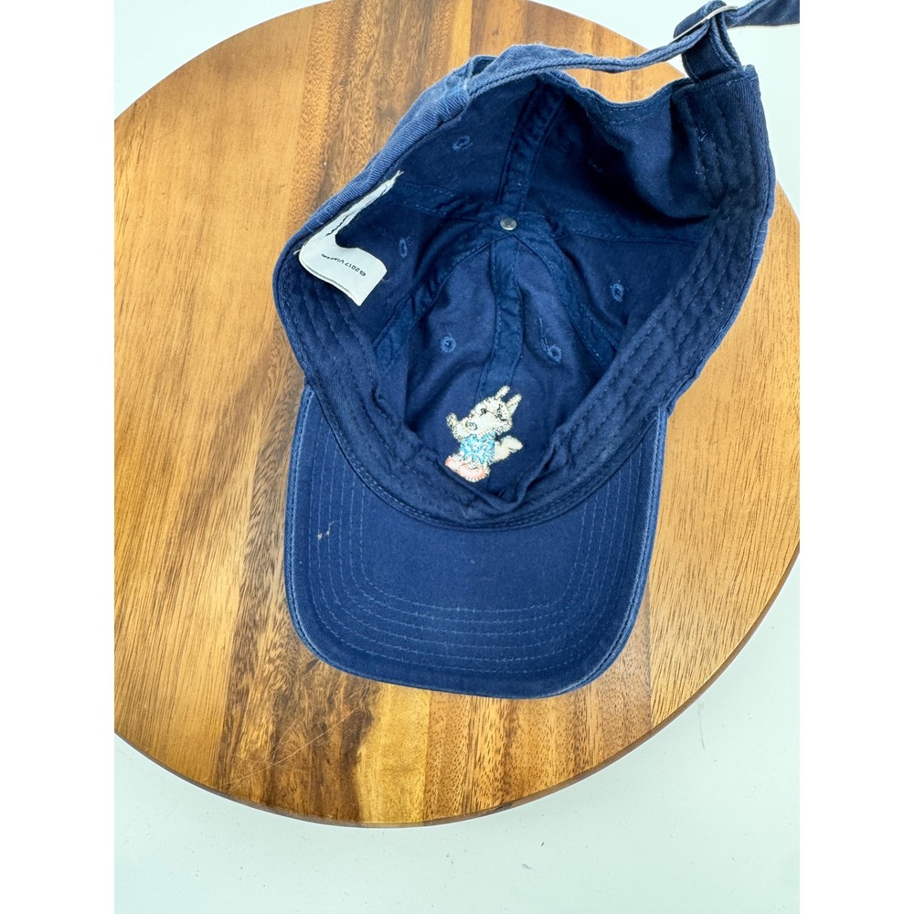 Nickelodeon Rocko's Hat Cap Modern Life Embroidered Blue Dad Hat Cap 2017 Viacom - Picture 13 of 14